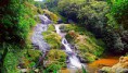 /album/galeria-de-fotos-cachoeira-da-fumaca-serra-do-mar/img-20170218-112809-1-jpg/